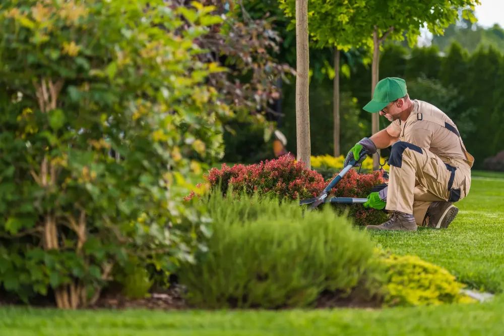 Entretien de jardin à Seraing